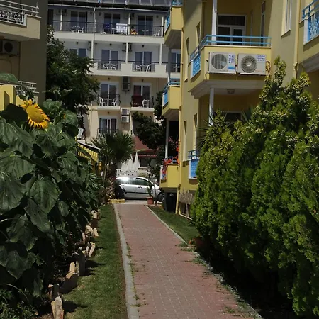 Sun Flower
