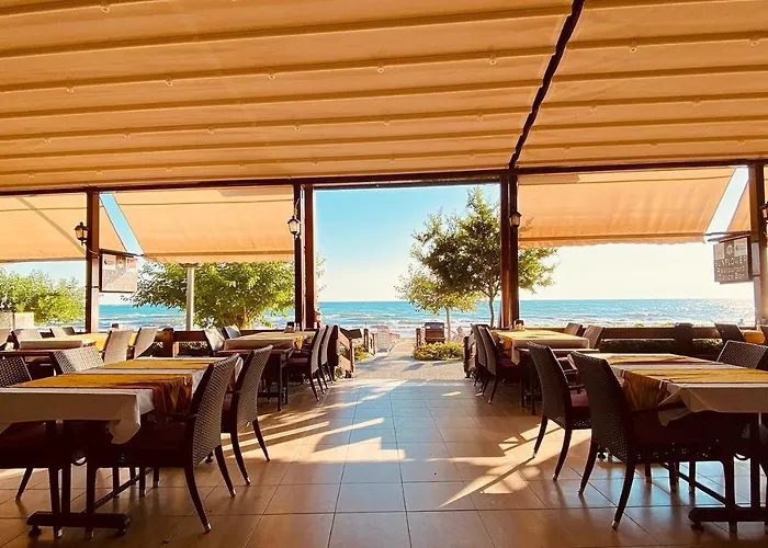 Sun Flower 4* 锡德